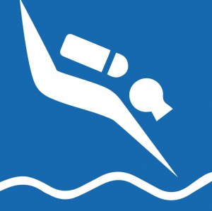 Diving Series Category